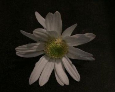 ​励志类的名言120句