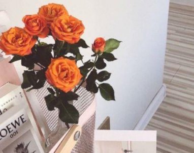 ​2025年励志正能量的句子106句