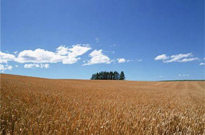 ​周易经典句子