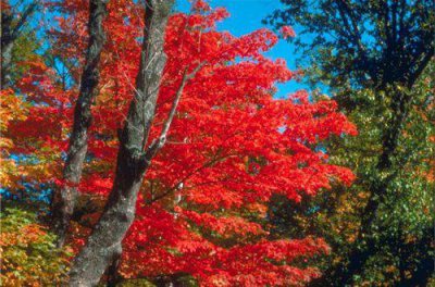 ​形容时间过得快的句子 时间过得真快经典句子(精选30句)