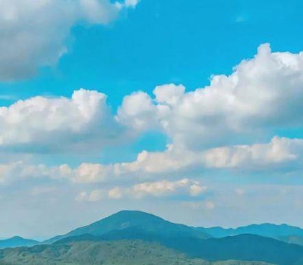 抖音伤感句子痛到心里经典