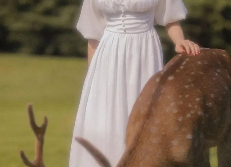 表白明星情话最暖心长句「大龄剩男的生活感悟」 表白明星情话最暖心长句「大龄剩男的生活感悟」