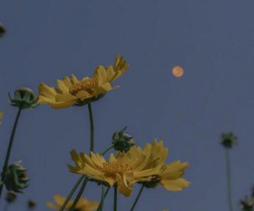 ​职场上励志名言短句 职场奋斗励志句子(精选104句)