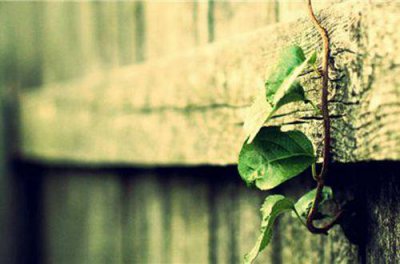 ​关于励志名人名言85句