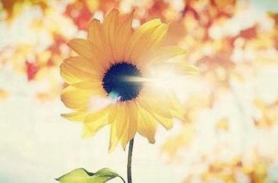 ​2024年最新励志性签名147句