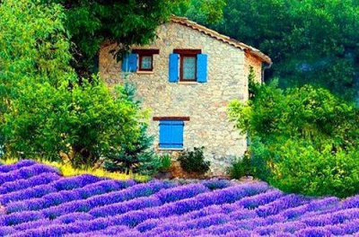 ​生活励志格言110句