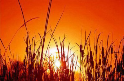 ​精选积极向上的正能量人生励志语录(正能量励志句子)