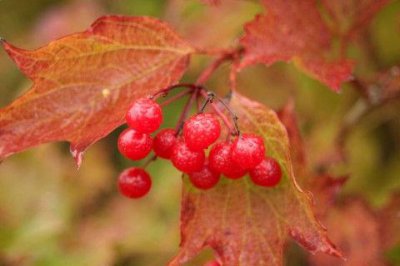 ​简单的励志句子66条