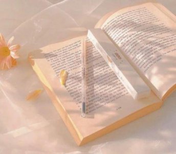 ​2025人生奋斗梦想励志句子(精选88句)