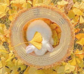 ​高一班级励志名言82句