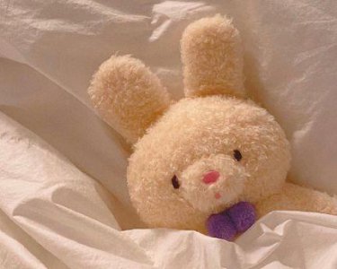 ​2024高考拼搏奋斗经典语录 高考前励志语录(精选95句)