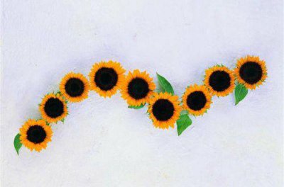 ​女孩阳光励志座右铭，激励人的短句合集52句