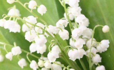 ​关于女人变瘦的励志语录(女人美丽励志语录经典)