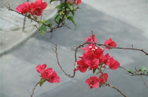 写给2025年高考生的励志话语