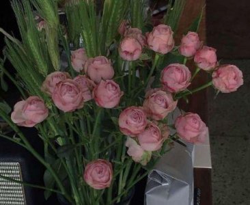 ​高一励志格言81句