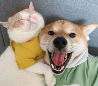 ​人生感悟励志的句子 阳光积极励志的句子(68句)