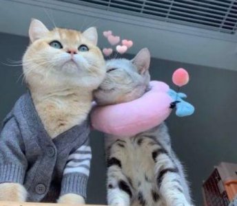 ​职场中的正能量励志语录(职场正能量的话励志的语句)