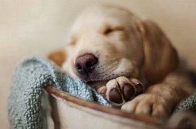 ​生活励志语录正能量 正能量励志语录大全(65句)