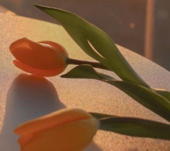 ​居里夫人励志名言(43句)