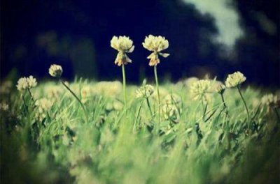 ​微信经典励志签名精选 抱怨不如改变(37句)