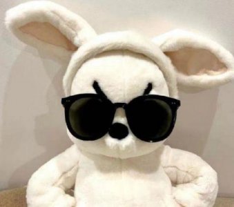 ​艾弗森励志语录28句