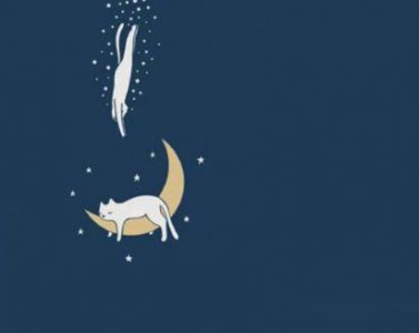 ​写爱情的古代的句子 关于爱情的古代句子(精选95句)