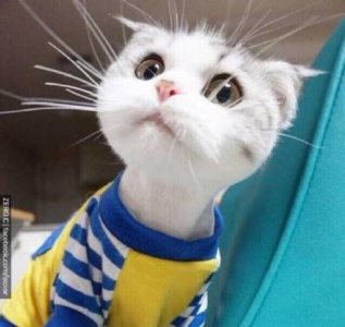 ​伤心爱情语句38条