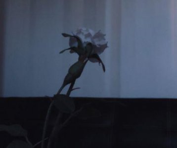 ​麦兜经典语录