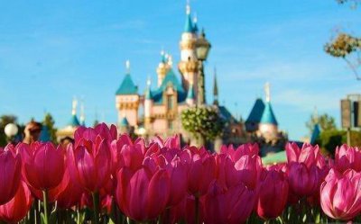 ​关于爱情的文艺范句子