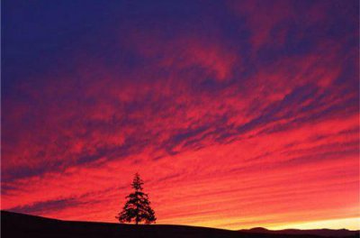 ​描写在爱情中受伤的句子