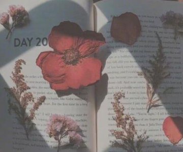 ​2025年男人经典语录