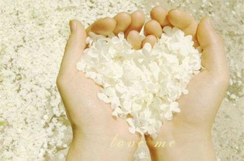 励志正能量语句