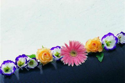 ​【热门】创业路上的激励语句 抖音创业励志句子汇编81句