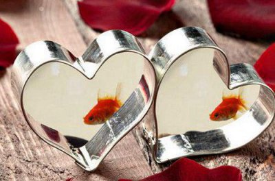 ​富有哲理的励志语句