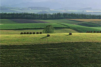 ​家长激励高中生励志语录 高三座右铭简短汇总86句