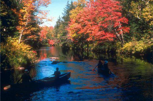 激励女人上进的励志句子