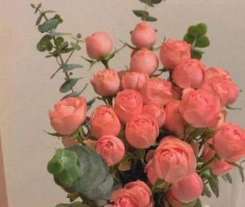 ​马克思励志句子