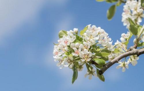 简单的励志语句汇编35条