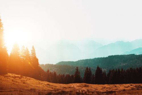 励志人生正能量的句子