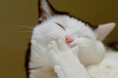 ​中考体育训练励志的句子