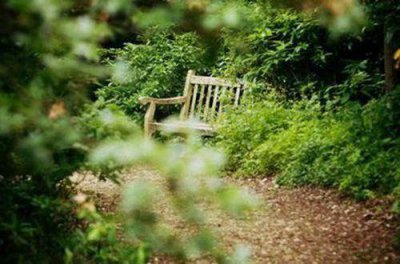 ​中考励志的句子