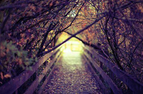 企业管理思维励志句子