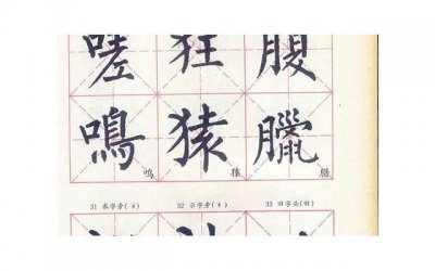 ​给女朋友写告白书（十句撩人的古风情话）