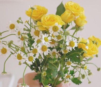 早安心语励志简单一句话