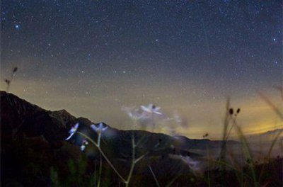 ​励志女人唯美的句子