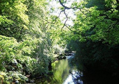 ​晚安心语正能量励志集合26句