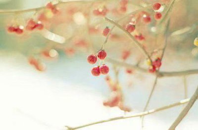 ​励志的句子简短精选38句