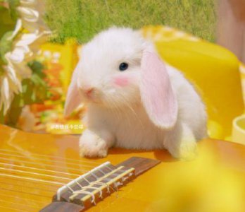 ​女人奋斗励志的句子