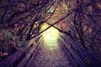 ​八字励志句子(79句)