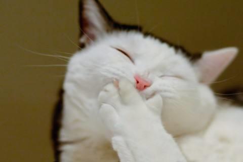 2017高考座右铭励志句子